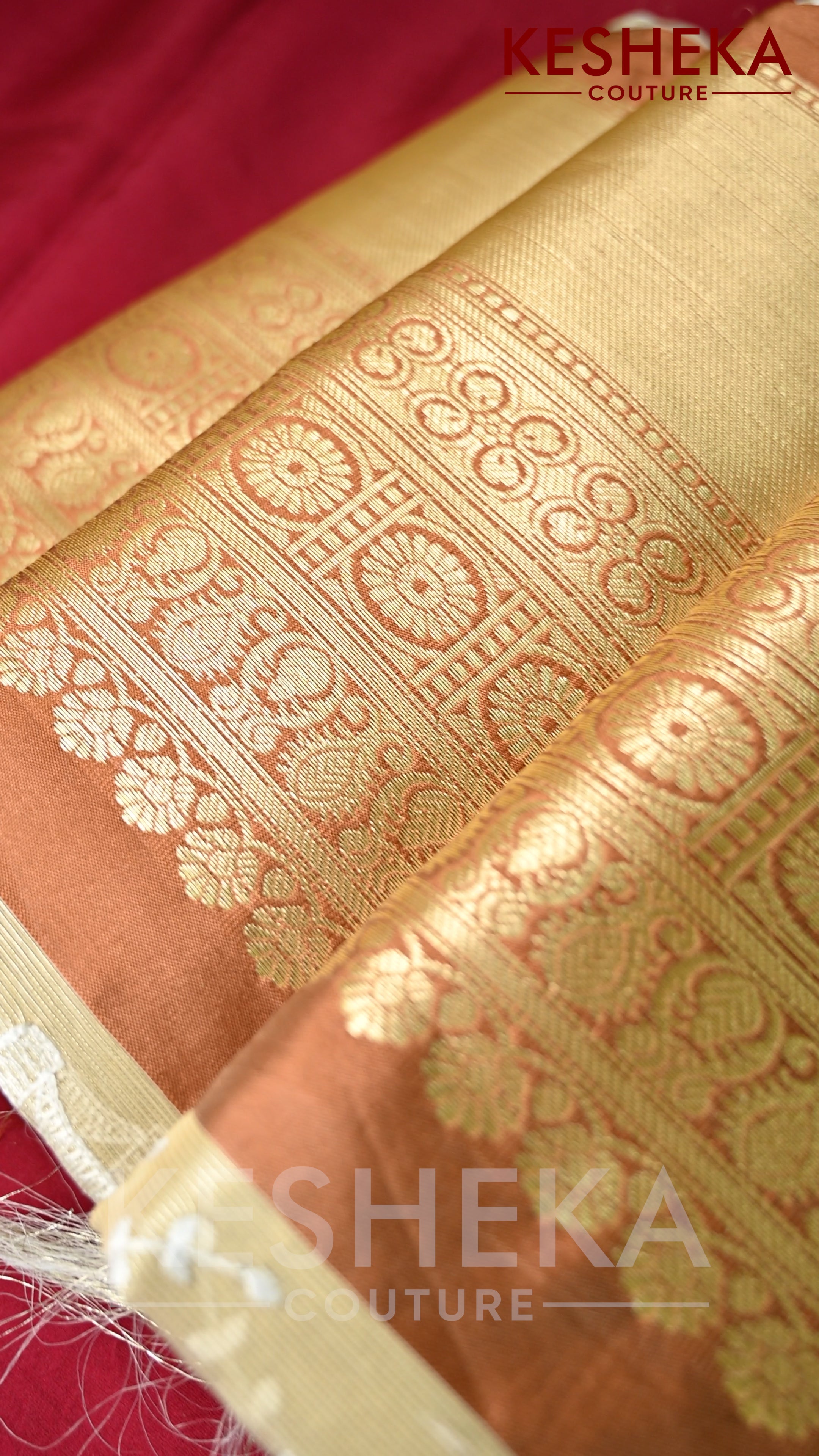 Organza Saree with Kanjivaram saree