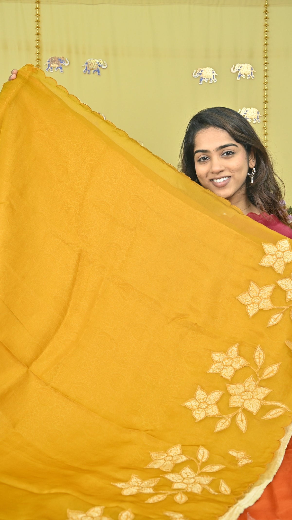 Organza Saree