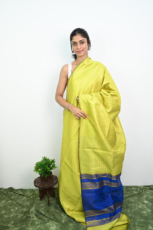 Raw Silk Saree