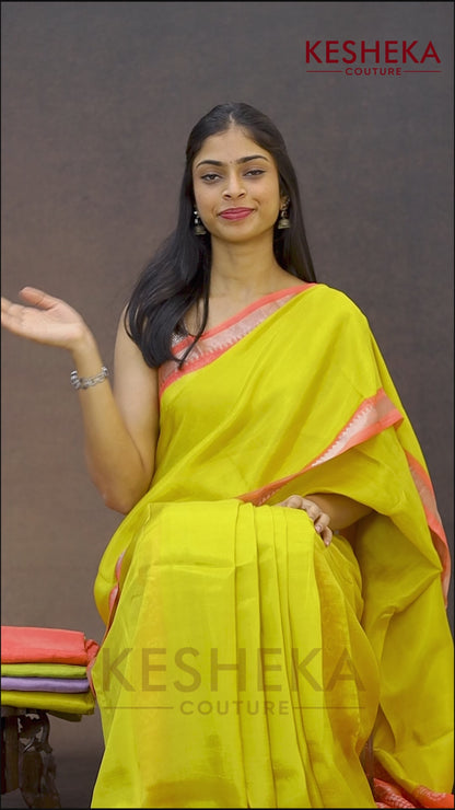 Mangalagiri silk with Bandej Print