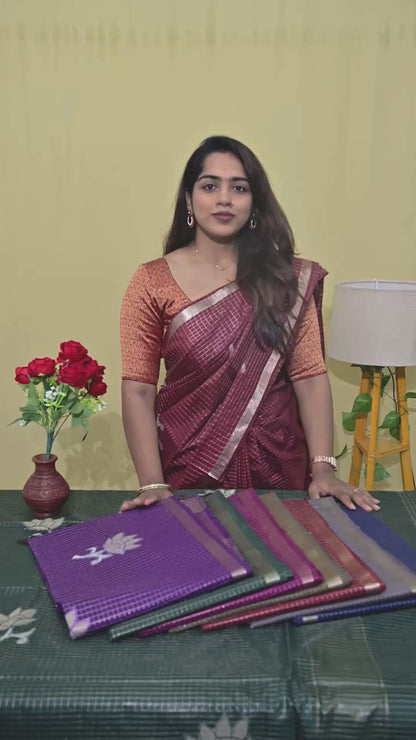 Tussar Check Saree