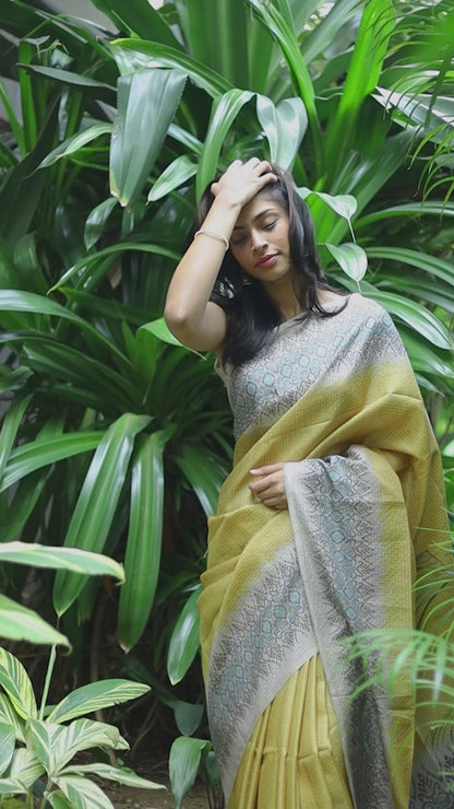 Tussar checks saree